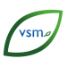 VSM