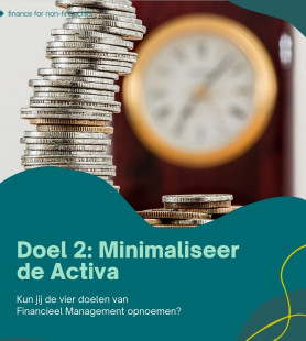Doel 2 minimaliseer de activa